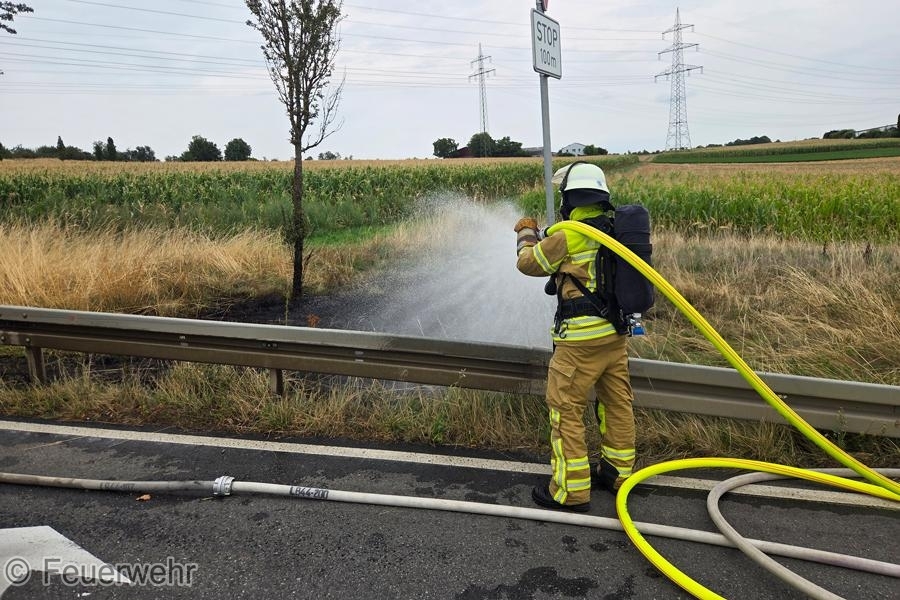 Einsatzfoto Feuer/Rauch Wiese/Ödland