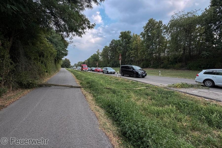 Einsatzfoto Ast/Baum gefallen Verkehrsweg