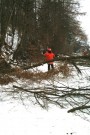 Motorsaegenausbildung der Feuerwehr Schwieberdingen