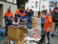 Pfullingen 2011
