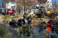 Teichsäuberung