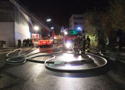 Brand 5