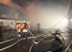 Brand 5