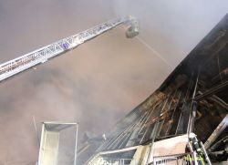 Brand 5